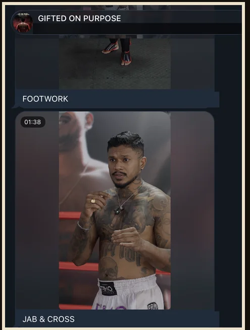 The private Telegram channel showing the Footwork and Jab & Cross demo videos